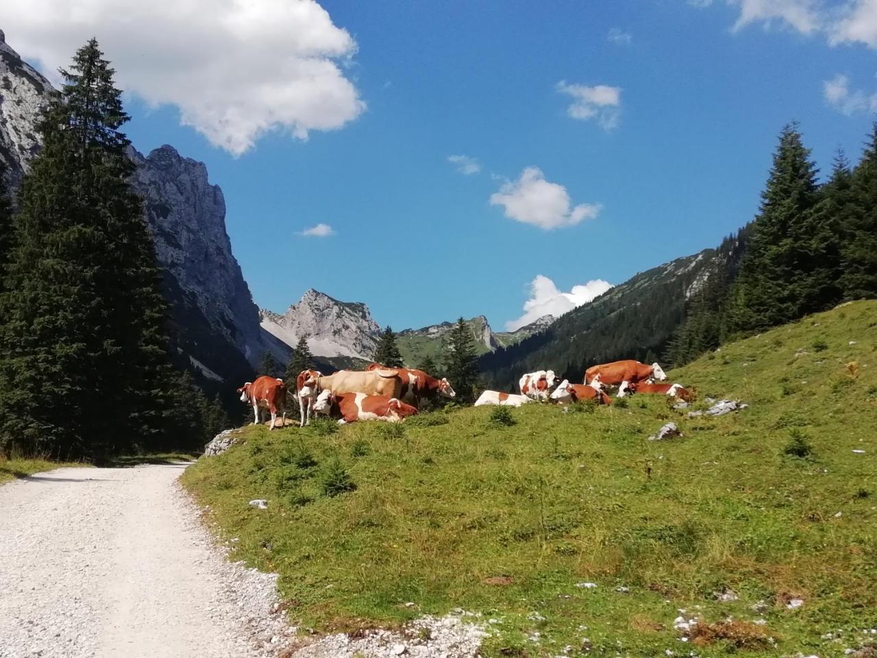 Gästehaus Alpenblick Berwang Exterior foto